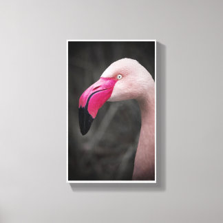 Flamingo Canvas Afdruk
