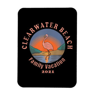 Flamingo Clearwater Beach Flamingo Vakantie 2021 Magneet