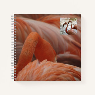Flamingo Close Up Notitieboek