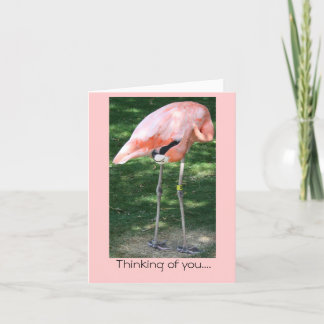 Flamingo Denken aan jou... Kaart