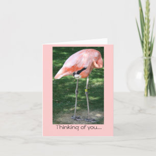 Flamingo Dinking van je... Kaart
