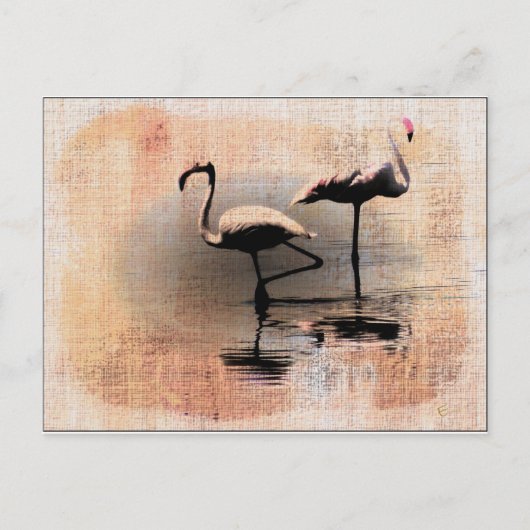 Flamingo Dreams Briefkaart (Voorkant)