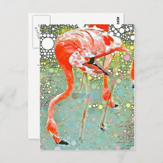 Flamingo Drink Briefkaart (Voorkant / Achterkant)