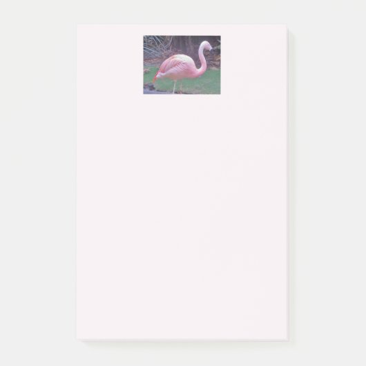 Flamingo echt roze post-it® notes (Voorkant)