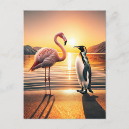 Flamingo en Pinguïn Zonsondergang Ontmoeting Briefkaart
