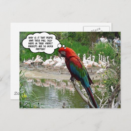 Flamingo Envy Briefkaart (Voorkant / Achterkant)