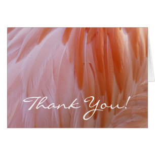 Flamingo Feathers Hartelijk dank (blanco binnenin)
