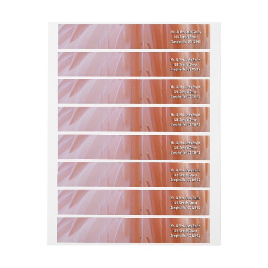 Flamingo Feathers in Shades of Pink (Vel)