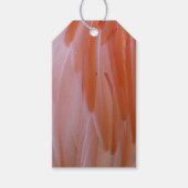 Flamingo Feathers in Shades of Pink Cadeaulabel (Voorkant)