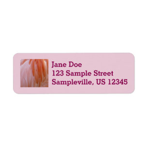 Flamingo Feathers in Shades of Pink Etiket