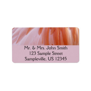 Flamingo Feathers in Shades of Pink Etiket