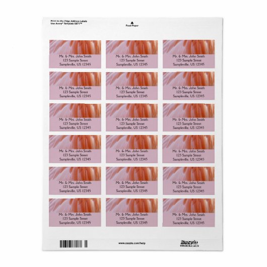 Flamingo Feathers in Shades of Pink Etiket (Full Sheet)