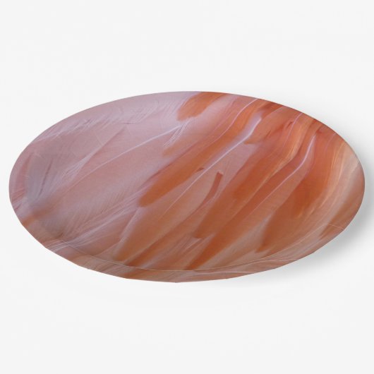 Flamingo Feathers in Shades of Pink Papieren Bordje (Gekanteld)