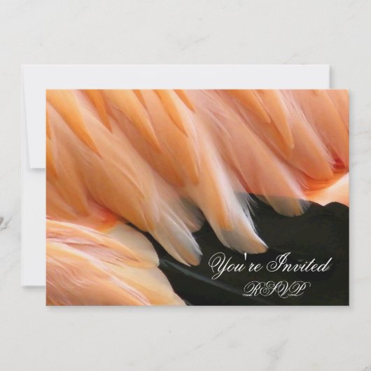 Flamingo Feathers_ Kaart (Voorkant)
