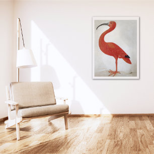 Flamingo - Fine Art Poster