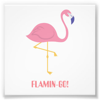 Flamingo (Flamin-Go!) Foto Afdruk