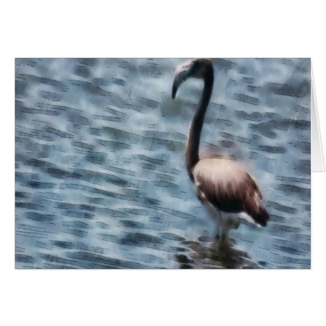 Flamingo Fledgling Waterverf (Voorkant Horizontaal)