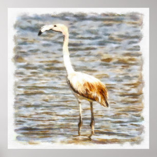  Flamingo Fledgling Waterverf Poster