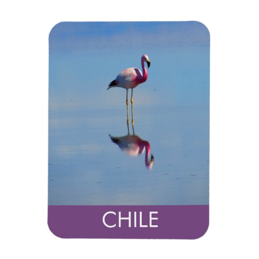 Flamingo Flexible Magnet Magneet (Verticaal)