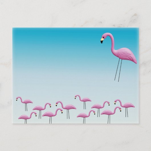 Flamingo Flocking Briefkaart (Voorkant)