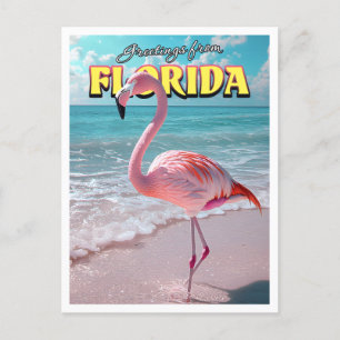Flamingo Florida Briefkaart