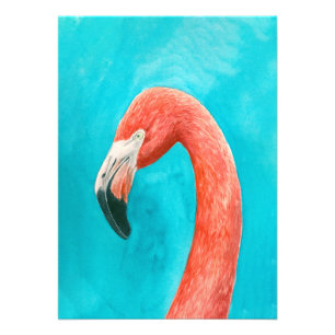 Flamingo Foto Afdruk