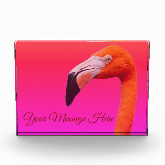 Flamingo fotoblokken