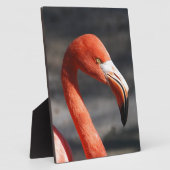 Flamingo Fotoplaat (Zijkant)
