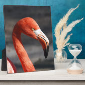 Flamingo Fotoplaat (Zijkant)