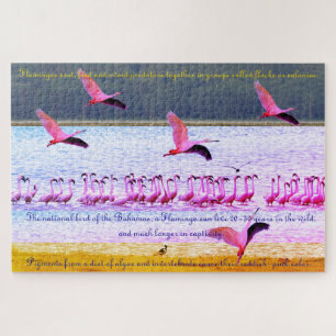 Flamingo Fun 20"x30" - 1.014 Stukje Legpuzzel