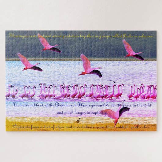Flamingo Fun 20"x30" - 1.014 Stukje Legpuzzel (Horizontaal)