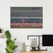 Flamingo Gathering - Afdrukken Poster (Thuiskantoor)
