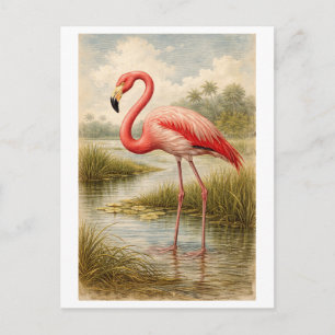 Flamingo-illustratie in vintage-stijl briefkaart