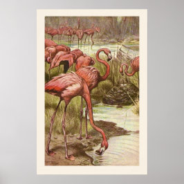  Flamingo Illustratie Print