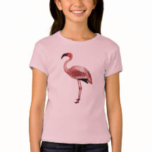 Flamingo illustratie