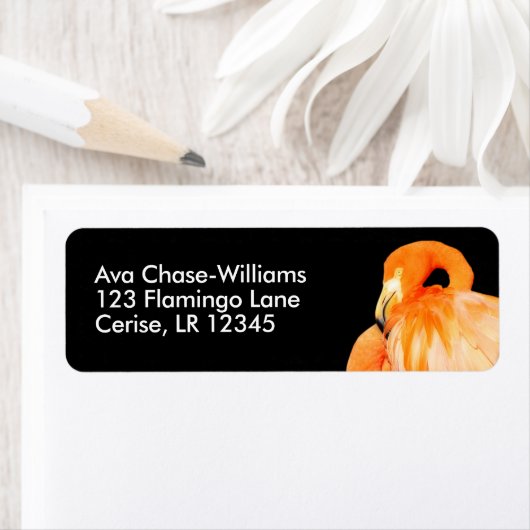 Flamingo in de zomer van de zon etiket (Insitu)