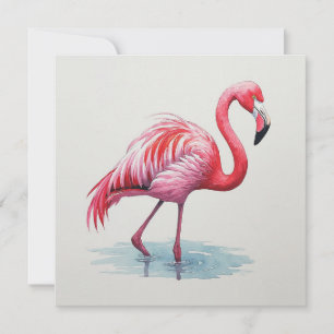 Flamingo Kaart