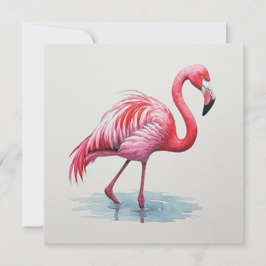 Flamingo Kaart (Voorkant)