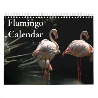 Flamingo Kalender 2025
