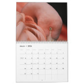 Flamingo Kalender 2025 (Mar 2026)
