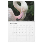 Flamingo Kalender 2025 (Feb 2026)