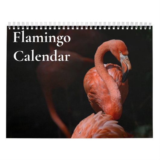 Flamingo Kalender 2025 (Hoes)