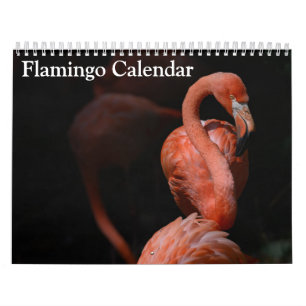 Flamingo Kalender 2025