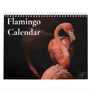 Flamingo Kalender 2027