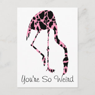 Flamingo Koeienvlekken Jij Bent Zo Raar Briefkaart