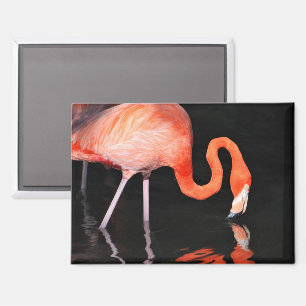 Flamingo koelkastmagneet magneet