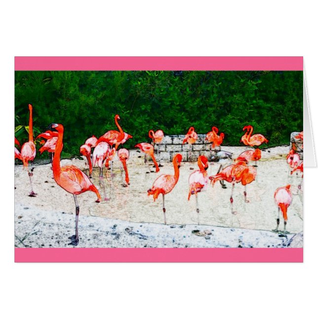 Flamingo-liefde (Voorkant Horizontaal)