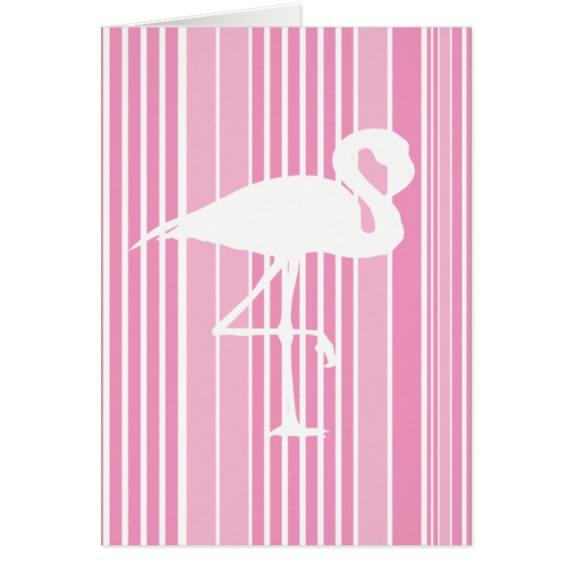 Flamingo Love (Voorkant)