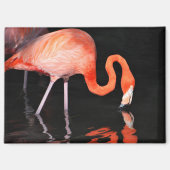 Flamingo Magneet (Voorkant)