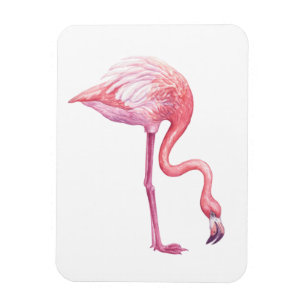 Flamingo Magneet